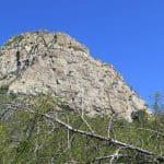 IMG_0137
