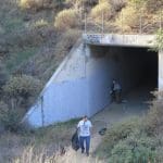 IMG_0337