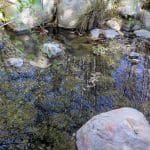 IMG_0451