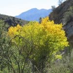 IMG_0465