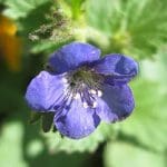 IMG_0912
