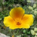 IMG_0913