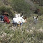 IMG_0934
