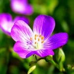 IMG_0941
