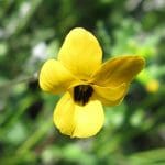 IMG_0949