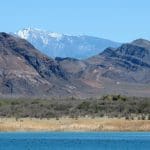 IMG_1436