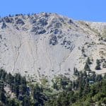 IMG_2071