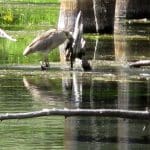 IMG_4699