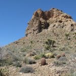 IMG_8375