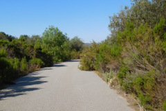 DSCN4286_resize