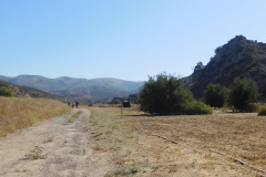 DSCN4304_resize