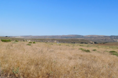 DSCN4308_resize