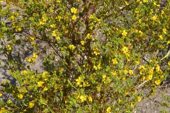 DSCN4309_resize