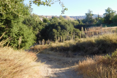 DSCN2672_resize
