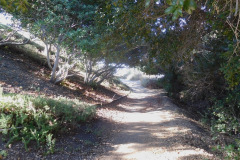 DSCN2676_resize