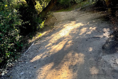 trail-2_resize