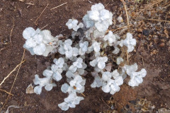 DSCN3352_resize