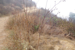 DSCN3354_resize