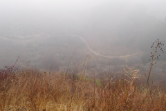 DSCN3355_resize