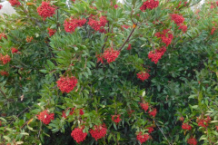 DSCN3366_resize