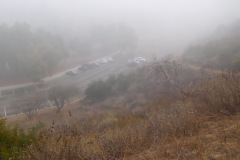 DSCN3367_resize