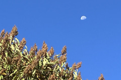 IMG_0662_resize