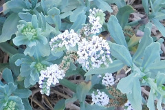DSCN4392_resize