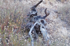 DSCN4398_resize