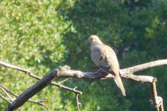 DSCN4402_resize