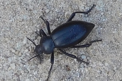 DSCN4404_resize