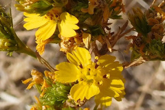 DSCN4407_resize