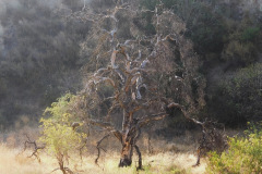 DSCN4413_resize