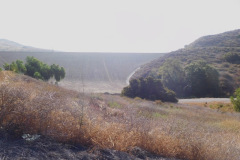 DSCN4423_resize
