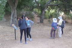 IMG_4008_resize