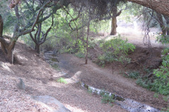 IMG_4010_resize