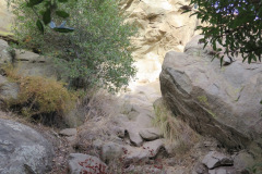 IMG_4013_resize