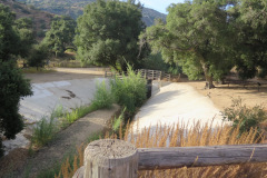 IMG_4017_resize