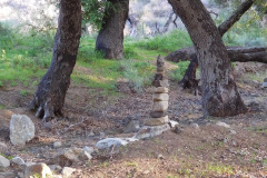 DSCN3685_resize