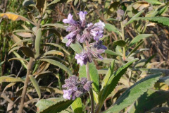 DSCN3692_resize
