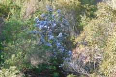 DSCN3703_resize