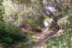 DSCN3709_resize