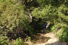 DSCN3710_resize
