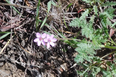 DSCN3711_resize