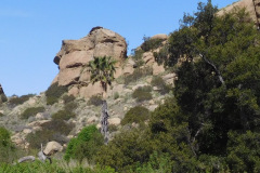 DSCN3713_resize