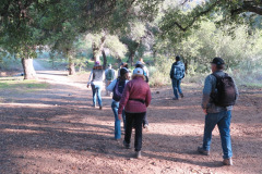 IMG_4108_resize