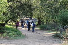 IMG_4118_resize