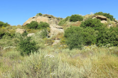IMG_3770_resize