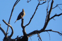 DSCN4593_resize