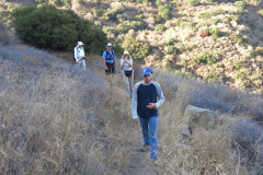 IMG_3984_resize