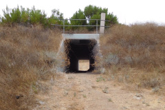 DSCN2994_resize